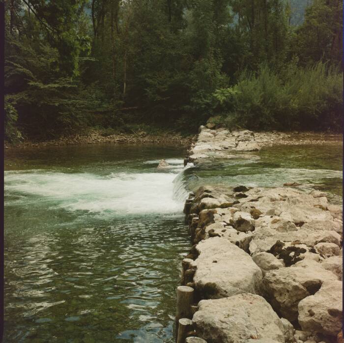 mitya-ivanov-pYSf2bdjInI-unsplash