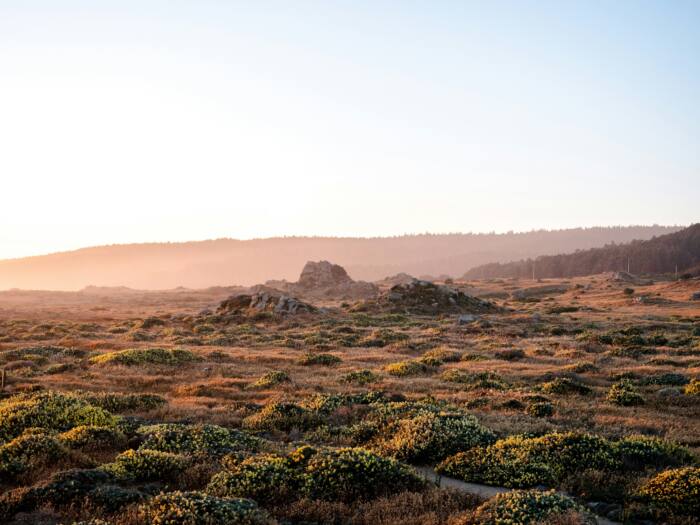 ronan-furuta-OPv10mICdJk-unsplash