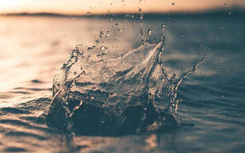 alex-perez-572087-unsplash
