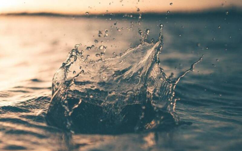 alex-perez-wEgR12N01Tk-unsplash
