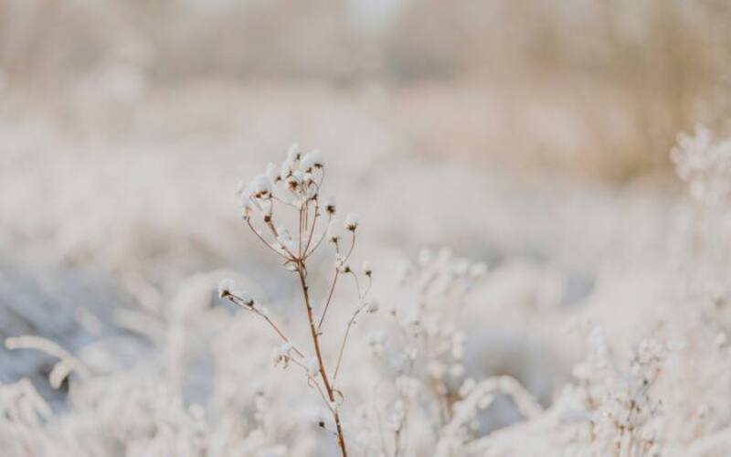 anita-austvika-5ucPWHPm_G4-unsplash