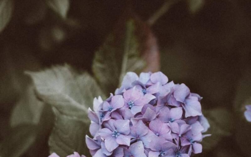 annie-spratt-362762-unsplash