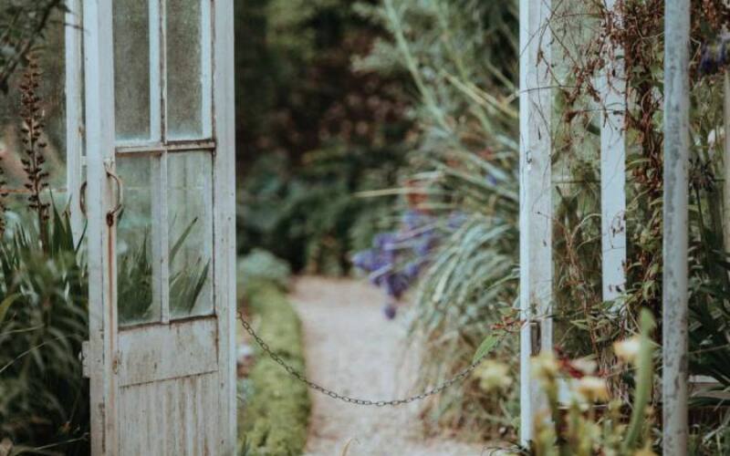 annie-spratt-372276-unsplash