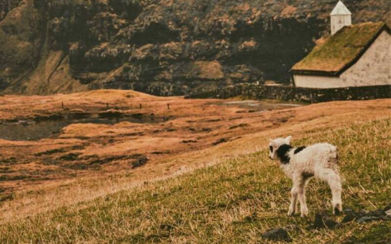 annie-spratt-U_aKmjRIqyk-unsplash