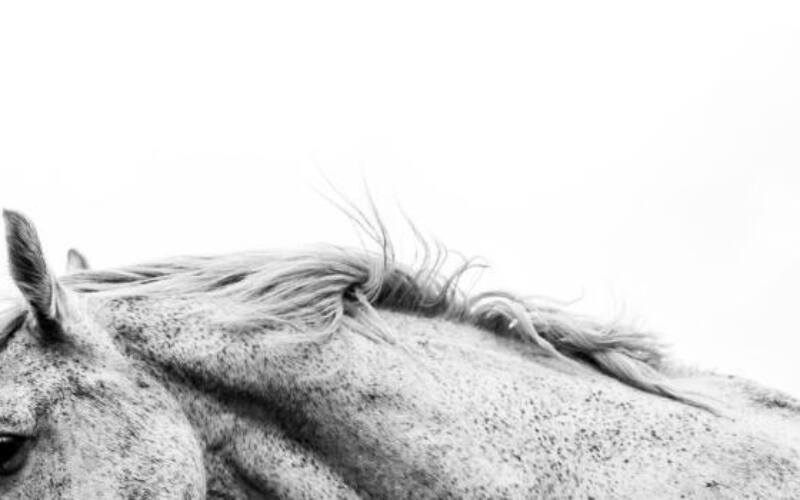 avi-theret-RdWyKwb5lbU-unsplash-2