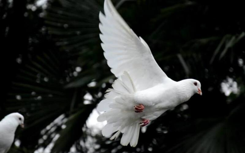 awmleer-6XcziMmkNgQ-unsplash
