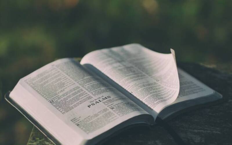 bible, open, book, pages, open bible, psalms, bible reading, faith, religion, prayer, bible verses, chapter, knowledge, literature, outdoors, text, verses, wisdom, bible, bible, bible, bible, bible-1846174.jpg