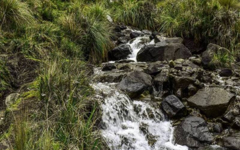 brook, water, landscape-3541096.jpg