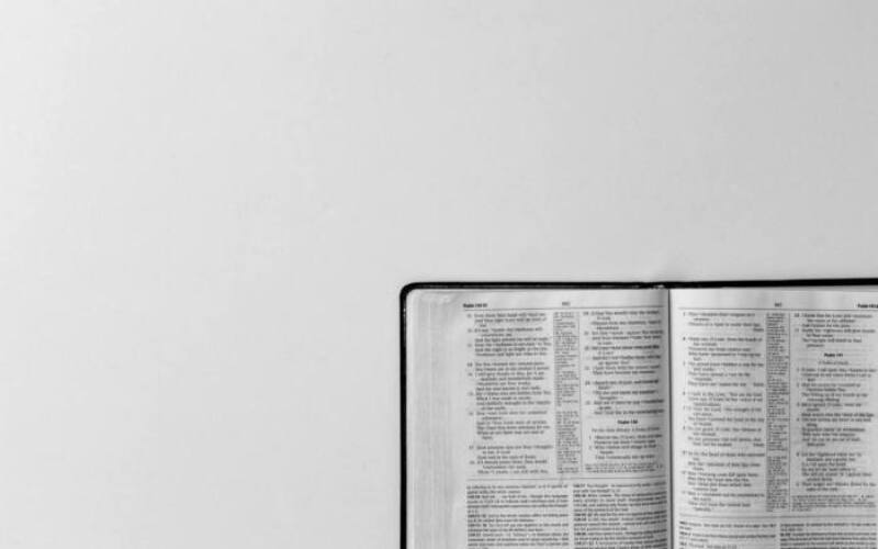 carolyn-v-546925-unsplash