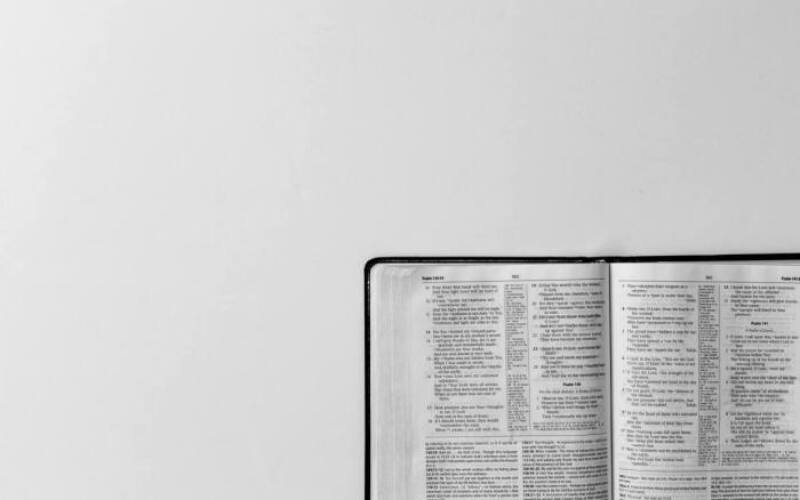 carolyn-v-546925-unsplash