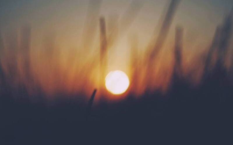 dan-cook-665137-unsplash
