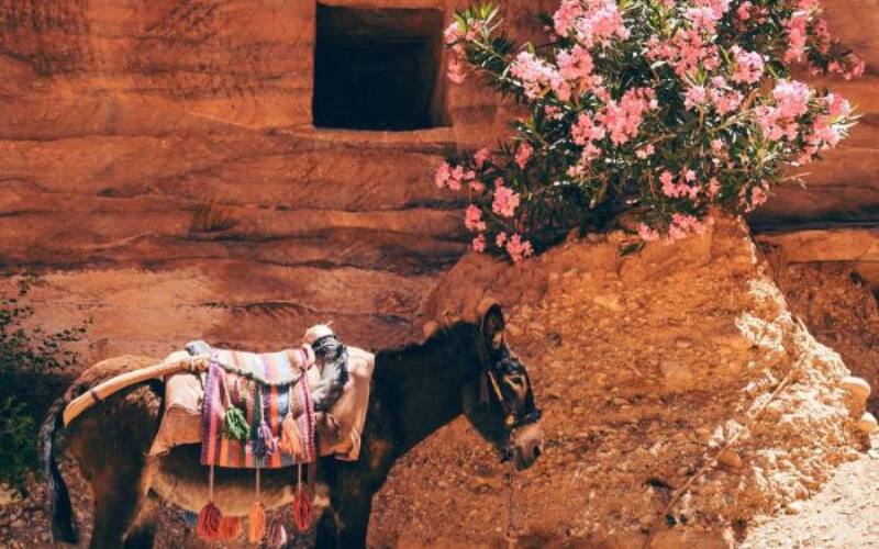 daniel-burka-rHa1WvOywjw-unsplash