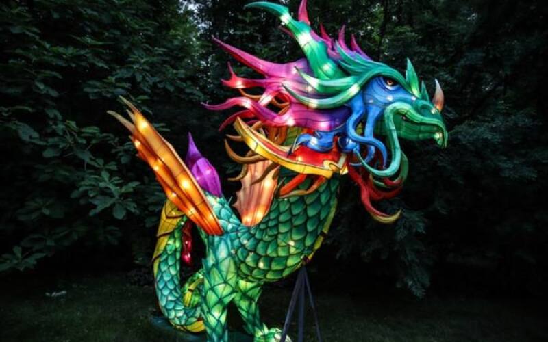 dragon