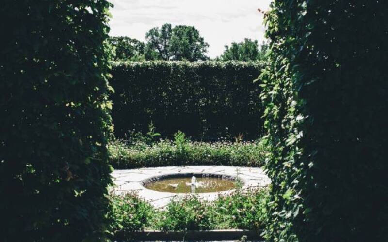 elvira-visser-1496530-unsplash