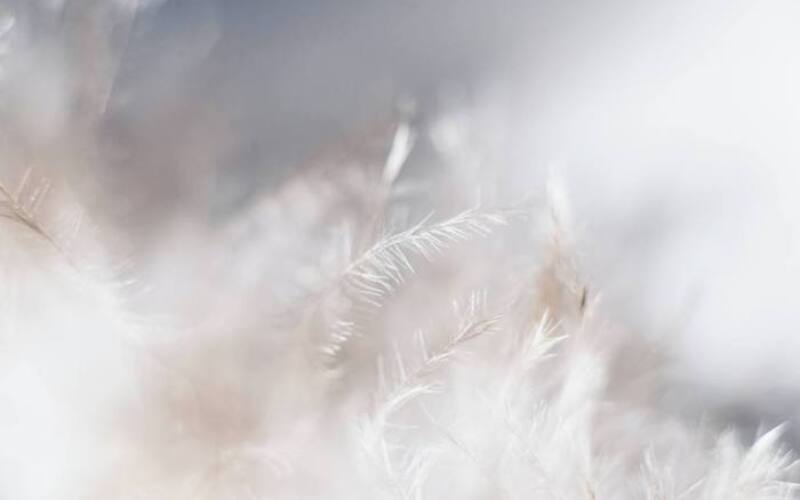 evie-s-Sw7f58YJbc0-unsplash