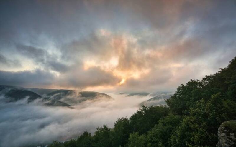 fog, morning, mountain, nature, landscape, sunrise, trees, sunlight, morning mist, foggy, fog, morning, morning, morning, nature, sunrise, sunrise, sunrise, sunrise, sunrise-6483278.jpg