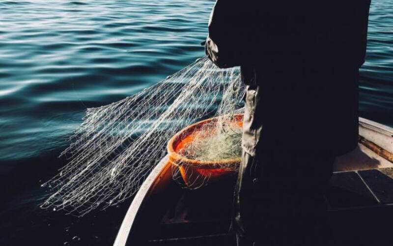 fredrik-ohlander-401681-unsplash