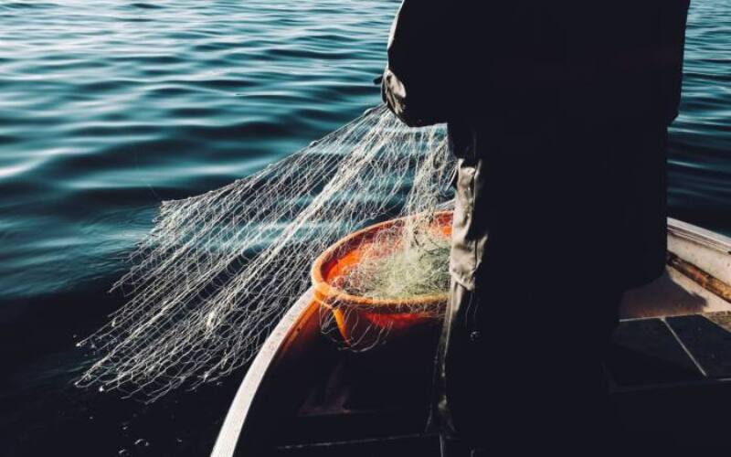 fredrik-ohlander-CbeApl8sxxw-unsplash