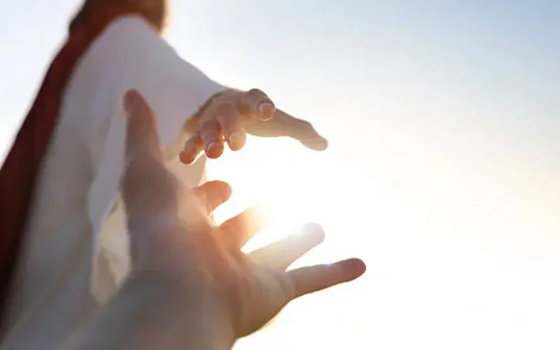 istockphoto-2266037380-612x612