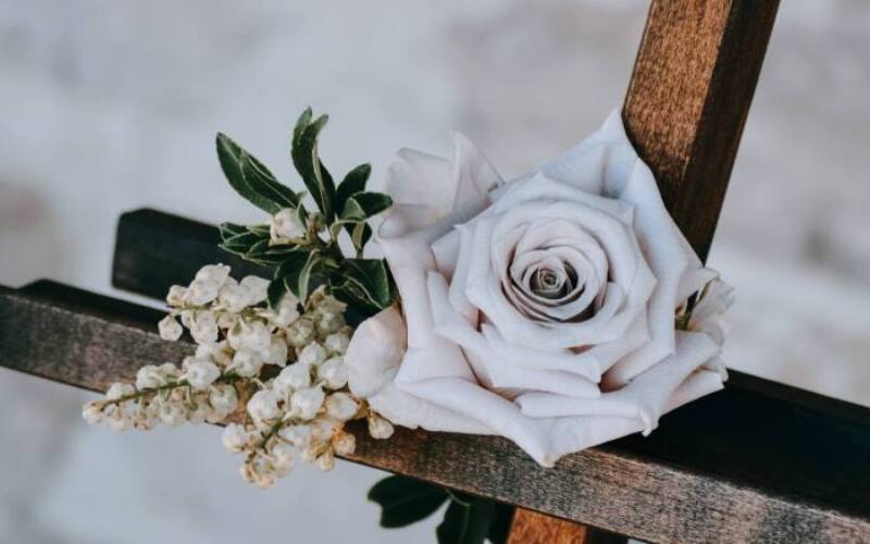 jacalyn-beales-XhRnzbYchrA-unsplash