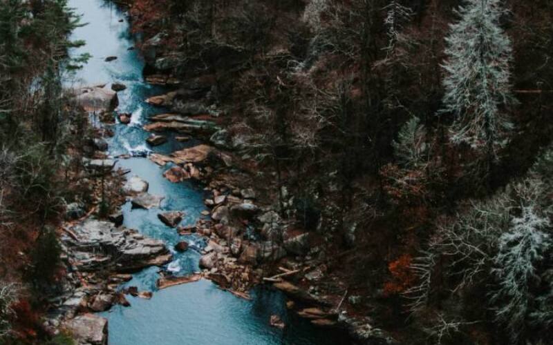 jessica-furtney-177531-unsplash