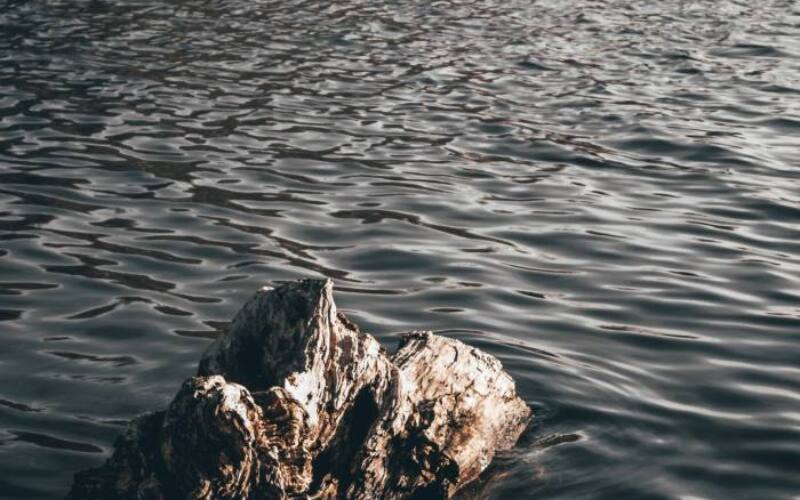 jorge-bermudez-NR5xQDKIRKw-unsplash