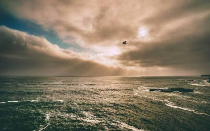 joseph-barrientos-UklXbPE-Hos-unsplash-1