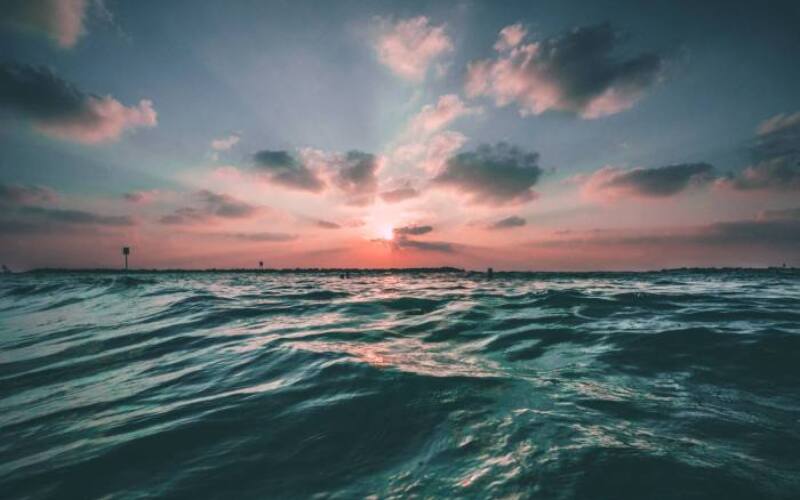 joseph-barrientos-oQl0eVYd_n8-unsplash