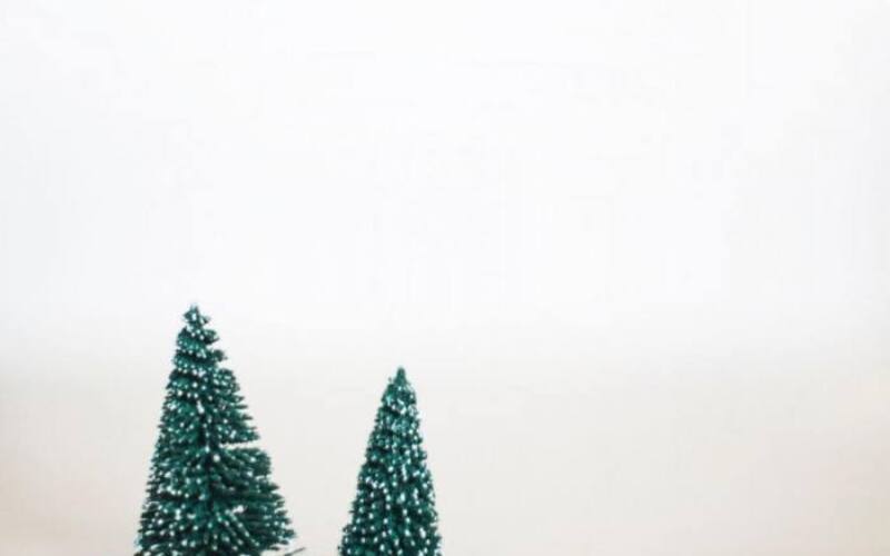kari-shea-467368-unsplash