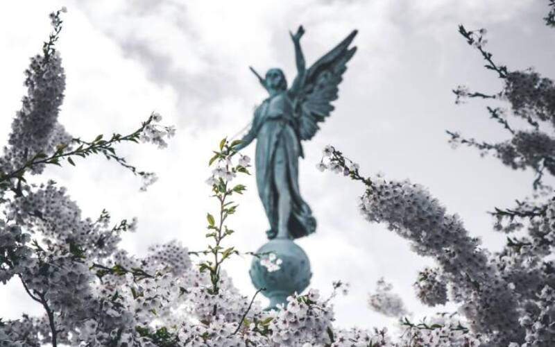 kasper-rasmussen-9cl0CpxyYnY-unsplash