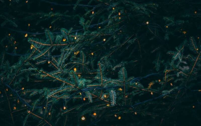 kieran-white-SBdmQcW8qag-unsplash