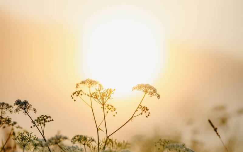 kristaps-ungurs-svLY6y5sCkM-unsplash