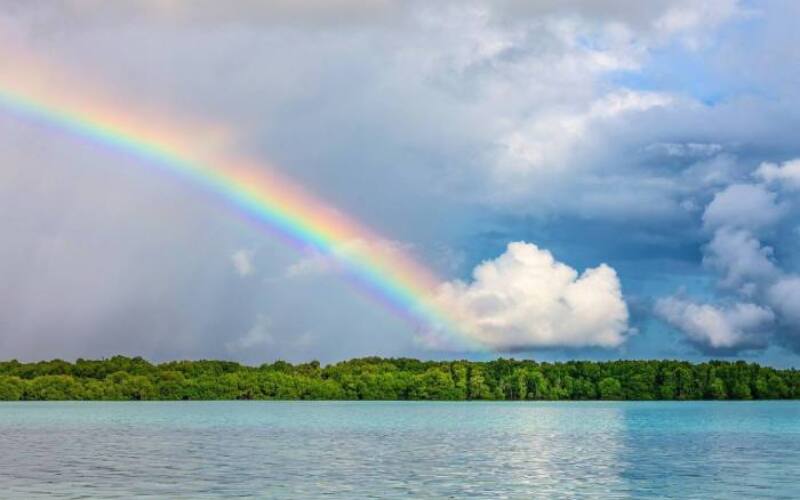 landscape, rainbow, tropical-7373484.jpg