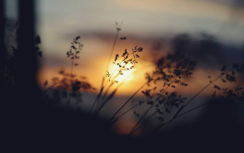 liana-s-k7RLGSA471U-unsplash