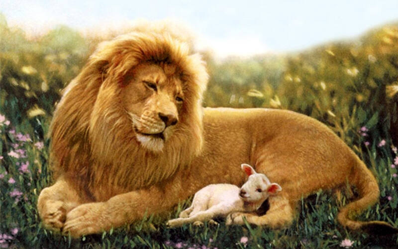 lionandlamb