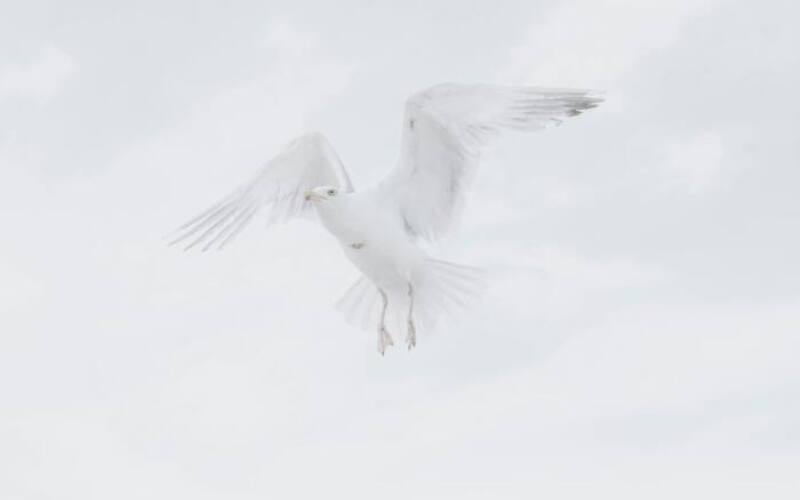 malcolm-lightbody-SjIJLwysERU-unsplash-1
