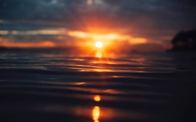 marcos-paulo-prado-0tWJc9EF1Zs-unsplash