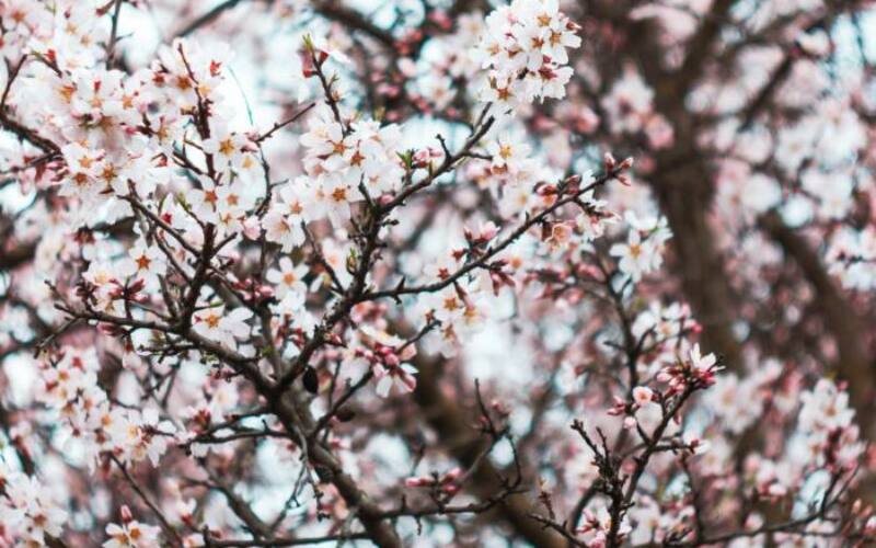maria-lupan-sAtSow9BGME-unsplash