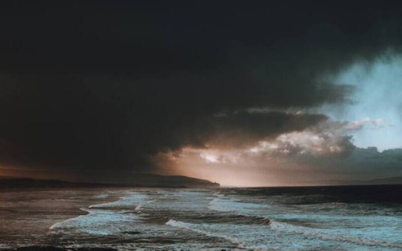 michael-shannon-TvwK0iwRfqo-unsplash-1