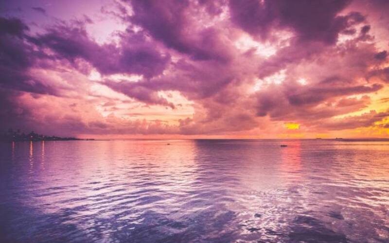 mike-enerio-yPbBYE1pkHo-unsplash-1