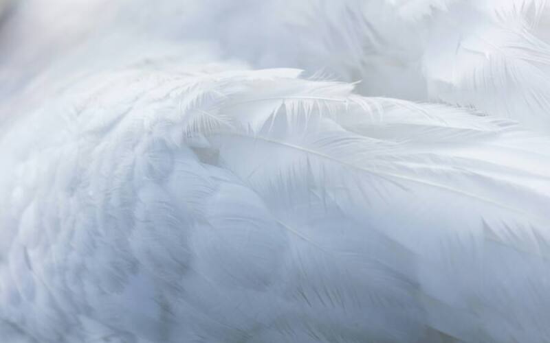 n-JfknhSgANFQ-unsplash