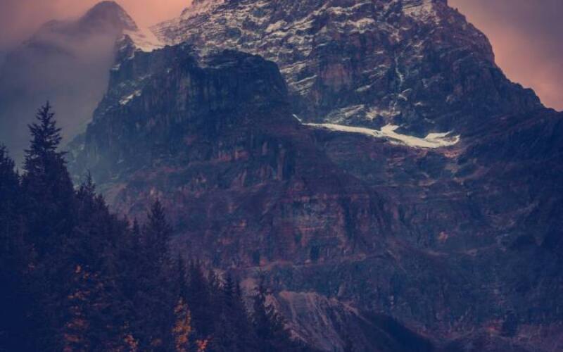 neil-rosenstech-OxnhDqLcjU4-unsplash