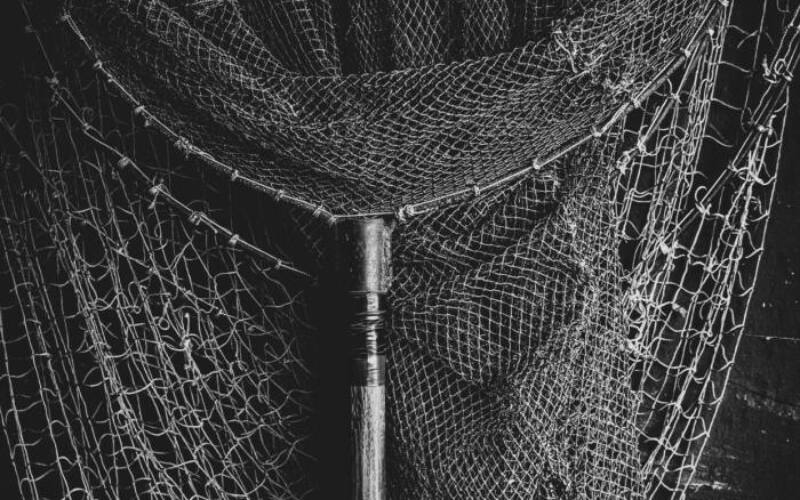 oxa-roxa-n2FrveiBoCw-unsplash