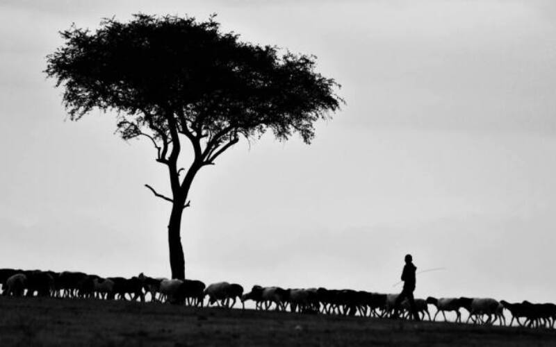 pawan-sharma-392079-unsplash