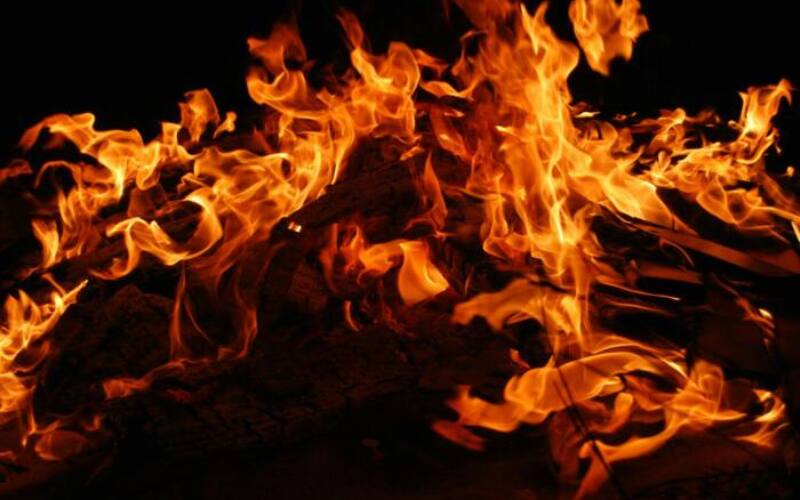 burning tree