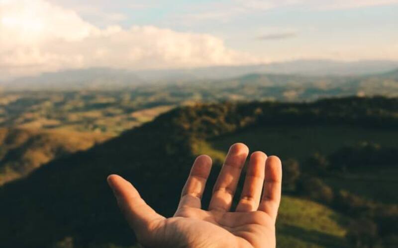 person s left hand