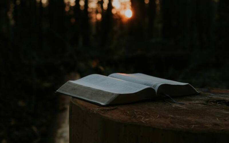 priscilla-du-preez-7aOhiPe6_30-unsplash
