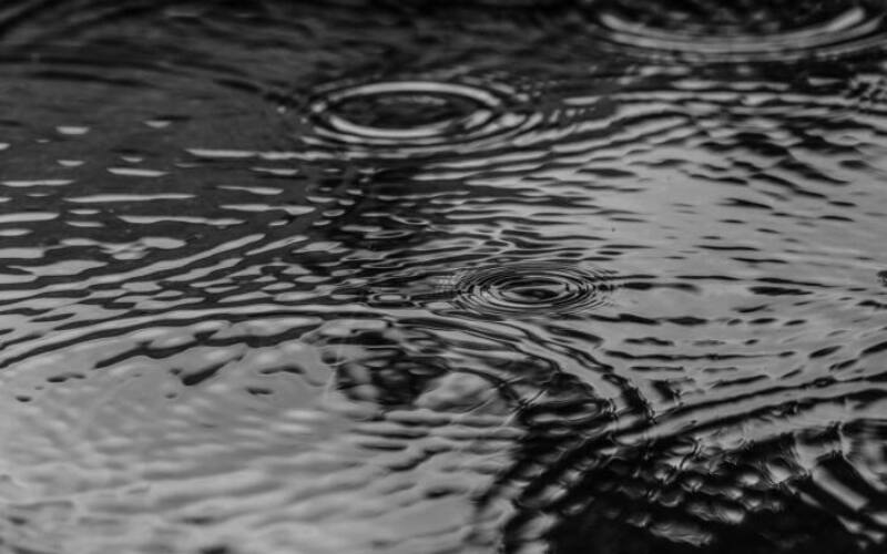 puddle, water, rain, nature, gray rain-2584377.jpg