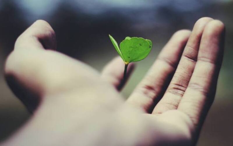 ravi-roshan-_AdUs32i0jc-unsplash
