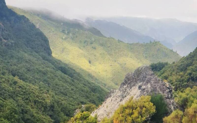 reiseuhu-ph72V7LZ9og-unsplash